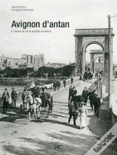 Avignon D'Antan ; Avignon À Travers La Carte Postale Ancienne