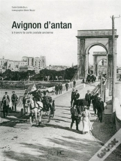 Capa do artigo Avignon D