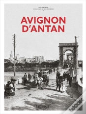 Capa do artigo Avignon D