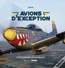 Capa do artigo Avions D'Exception : Les Plus Beaux Avions De Collection En Vol