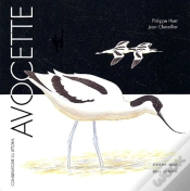 Capa do artigo Avocette