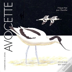 Capa do artigo Avocette