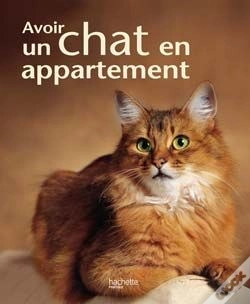 Capa do artigo Avoir Un Chat En Appartement