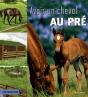Avoir Un Cheval Au Pré - Preview