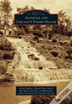 Avondale And Chicago'S Polish Village