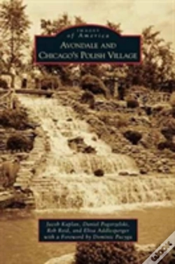 Capa do artigo Avondale And Chicago'S Polish Village