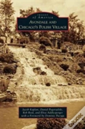 Capa do artigo Avondale And Chicago