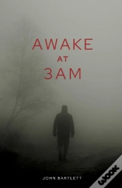 Capa do artigo Awake At 3 A.M.