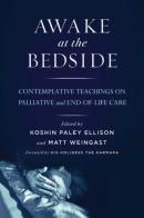 Awake At The Bedside