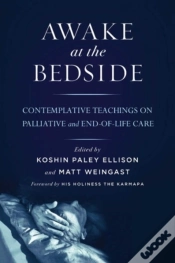Capa do artigo Awake At The Bedside
