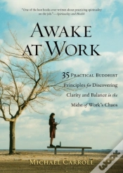 Capa do artigo Awake At Work
