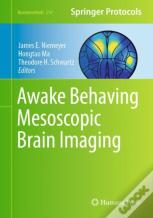 Awake Behaving Mesoscopic Brain Imaging