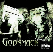 Capa do artigo Awake - CD