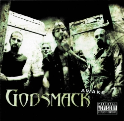 Capa do artigo Awake - CD