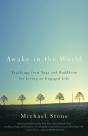 Awake In The World - Preview