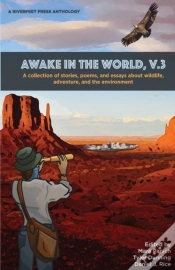Capa do artigo Awake In The World, Volume 3