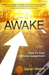 Awake: Rise To Your Divine Assignment