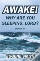 Awake!  Why Are You Sleeping, Lord?
