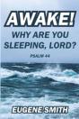 Awake!  Why Are You Sleeping, Lord? - Preview