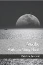 Awake With Low Slung Moon - Preview
