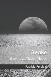Awake With Low Slung Moon