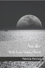 Capa do artigo Awake With Low Slung Moon