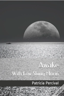Capa do artigo Awake With Low Slung Moon
