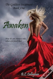 Capa do artigo Awaken