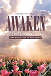 Capa do artigo Awaken