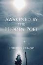Awakened By The Hidden Poet - Preview