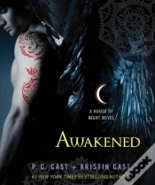 Capa do artigo Awakened