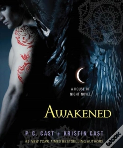 Capa do artigo Awakened