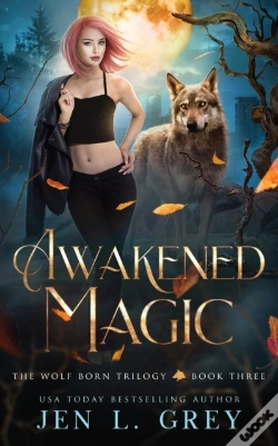 Capa do artigo Awakened Magic