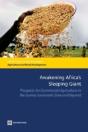 Awakening Africa'S Sleeping Giant - Preview