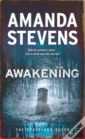 Capa do artigo Awakening