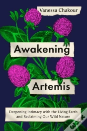 Capa do artigo Awakening Artemis