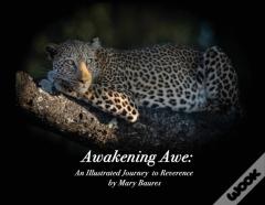 Awakening Awe