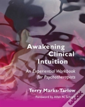 Capa do artigo Awakening Clinical Intuition