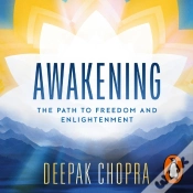 Capa do artigo Awakening