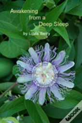 Awakening From A Deep Sleep