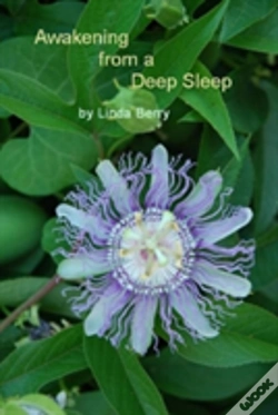 Capa do artigo Awakening From A Deep Sleep
