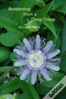 Awakening From A Deep Sleep