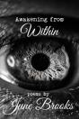 Awakening From Within - Preview
