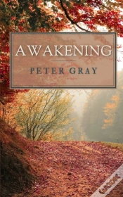 Capa do artigo Awakening