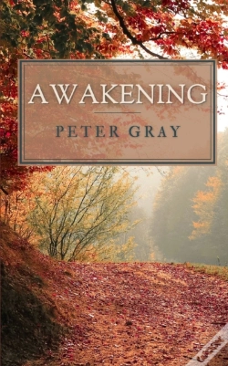 Capa do artigo Awakening