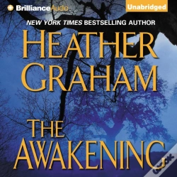 Capa do artigo Awakening