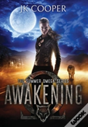 Capa do artigo Awakening