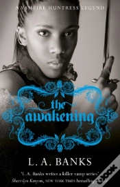 Capa do artigo Awakening