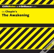 Capa do artigo Awakening