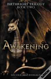 Capa do artigo Awakening
